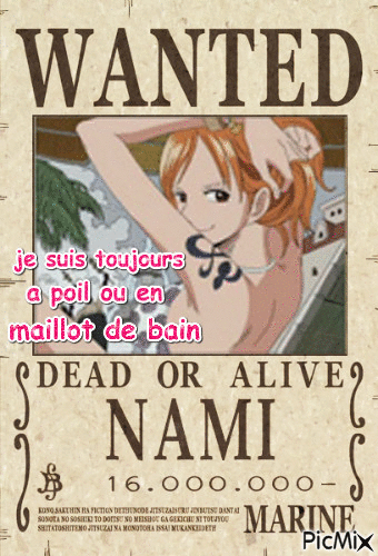 wanted nami - Безплатен анимиран GIF