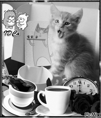 Le café des chats - GIF animado gratis