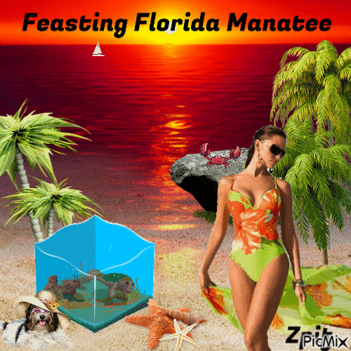 Feasting Florida Manatee - GIF animé gratuit