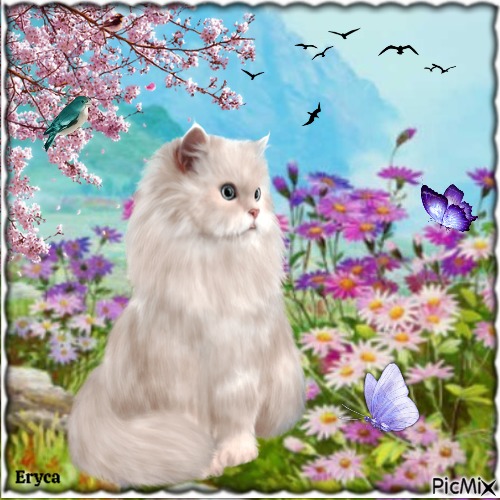 Portrait d'un chat blanc parmi les fleurs - Free PNG