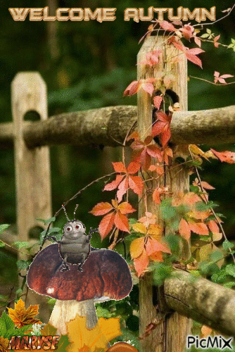 autumn - Animovaný GIF zadarmo