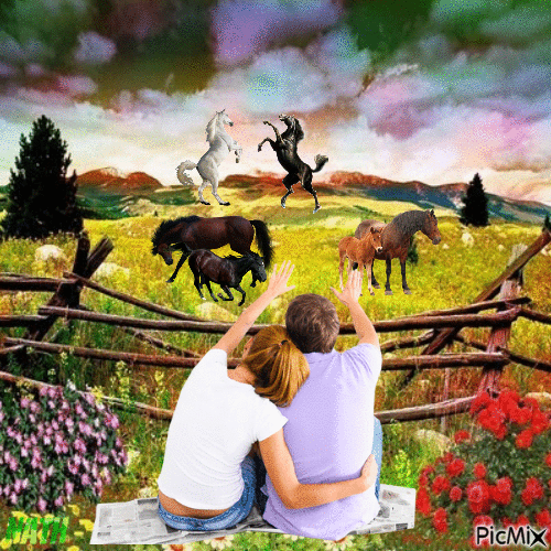 Un couple regarde des chevaux - Ingyenes animált GIF