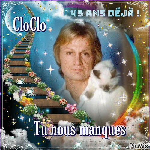 Hommage à Claude François - Free animated GIF
