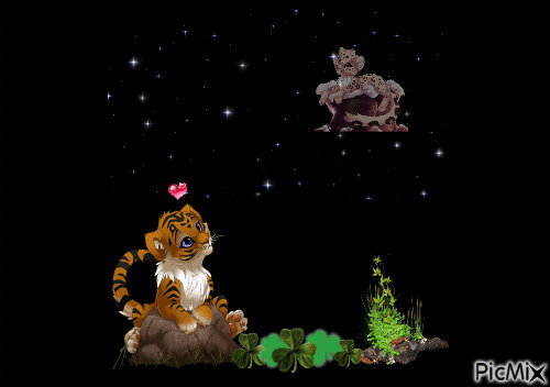 Petit tigre. - Free animated GIF
