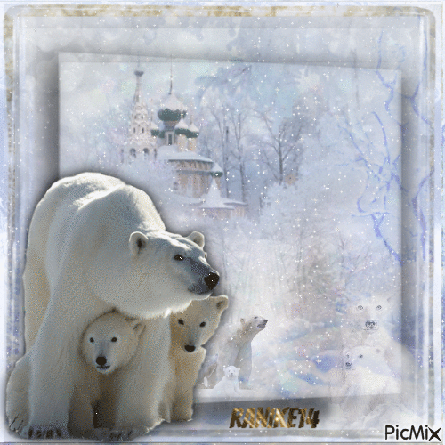 Polar bears ❤ - GIF เคลื่อนไหวฟรี