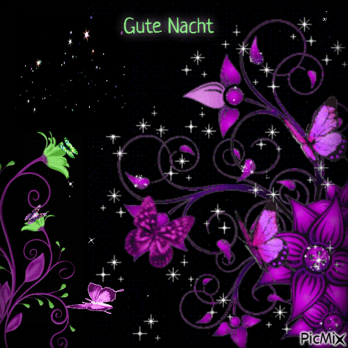 Gute Nacht - Ilmainen animoitu GIF