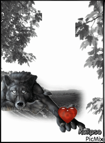 A  Wolf in love