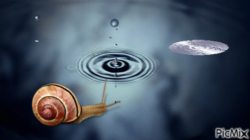 escargot - Zdarma animovaný GIF