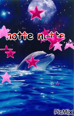 stelle - Free animated GIF