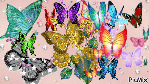 butterflies - Zdarma animovaný GIF