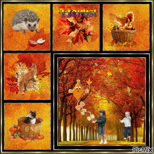 Herbst - Ingyenes animált GIF