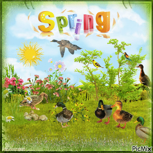 Spring - Zdarma animovaný GIF