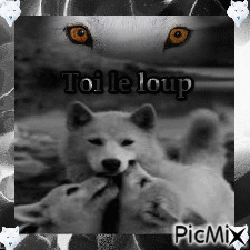 Toi le loup - Δωρεάν κινούμενο GIF
