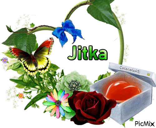 Jitka - Bezmaksas animēts GIF