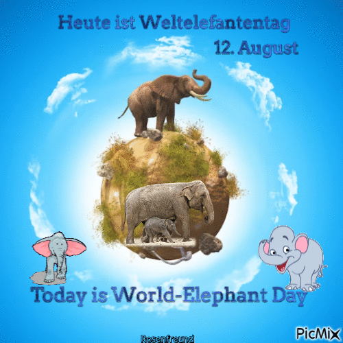 Heute ist Weltelefantentag - Ilmainen animoitu GIF