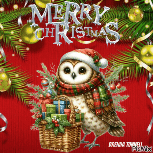 Merry Christmas Owl - Free animated GIF