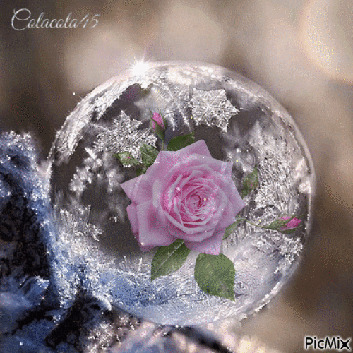 zmrzlá bublina - Ingyenes animált GIF