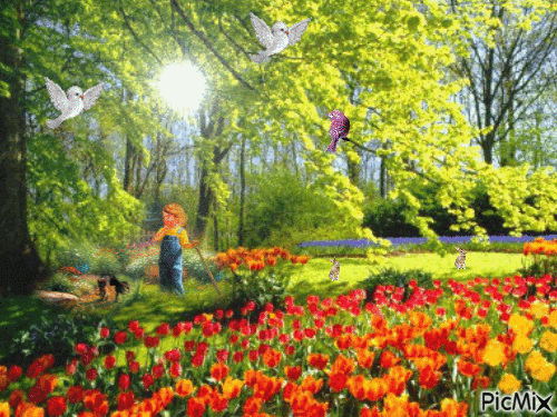 jardin enchanté - Ingyenes animált GIF