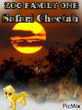 SAFARI CHEETAH - GIF เคลื่อนไหวฟรี