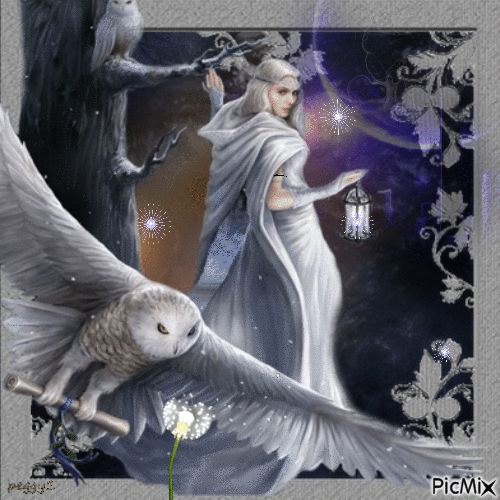fantasy owl - Gratis geanimeerde GIF