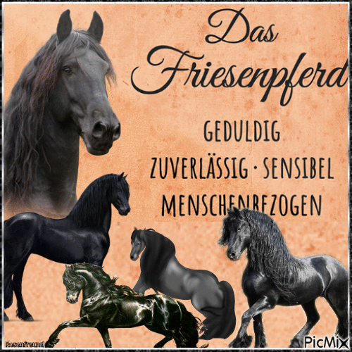 Das Friesenpferd - Bezmaksas animēts GIF