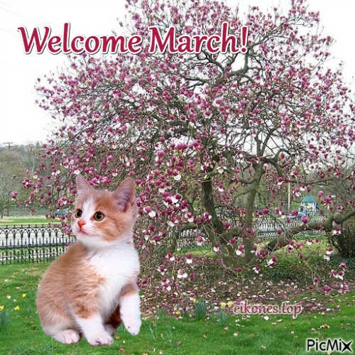 Welcome March - безплатен png