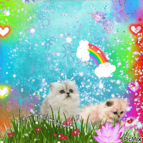Cats glitters and rainbows - GIF animé gratuit