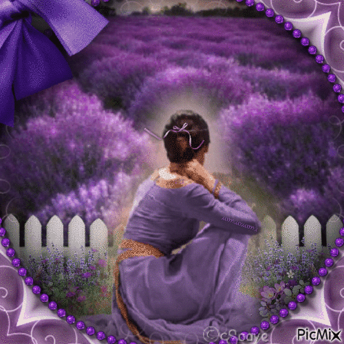 Lavender Field-RM-7-03-23 - GIF animé gratuit