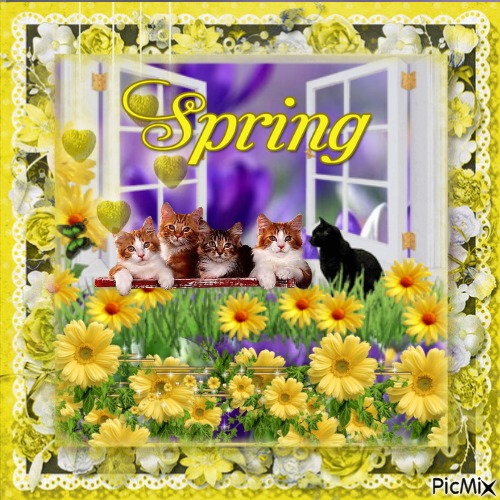 Frühling printemps spring
