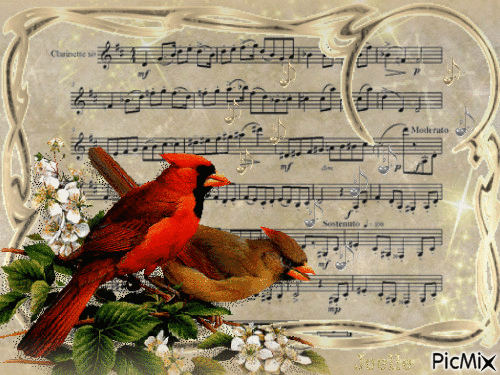 Tout oiseau aime à s'entendre chanter. - Besplatni animirani GIF
