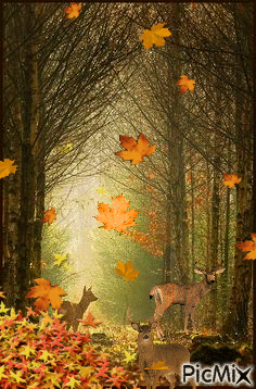 Ciervos bajo las hojas - GIF เคลื่อนไหวฟรี