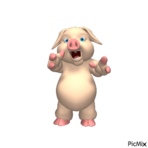 свинка - Zdarma animovaný GIF