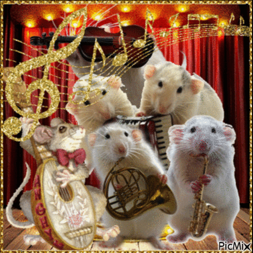Funny Rat Musicians Band - Free animated GIF