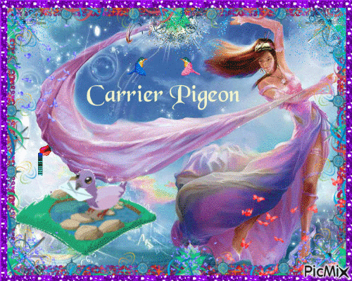 pigeon - GIF animé gratuit