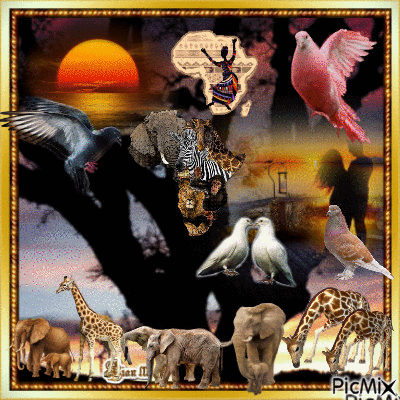 Beautiful Africa. - Bezmaksas animēts GIF