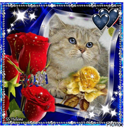 Cat behind roses. - Безплатен анимиран GIF