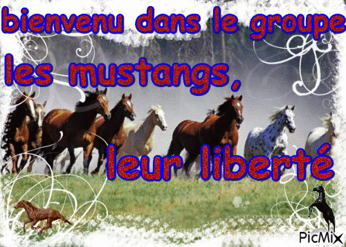 pour le groupe dogzer - Free animated GIF