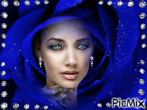 Blue Rose! - GIF animasi gratis