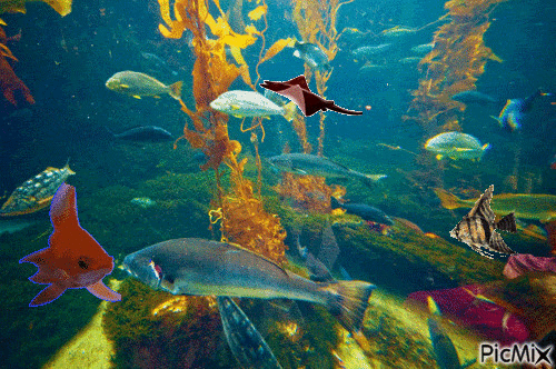 En un acuario - Nemokamas animacinis gif