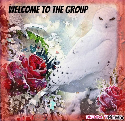Welcome owl winter - png ฟรี