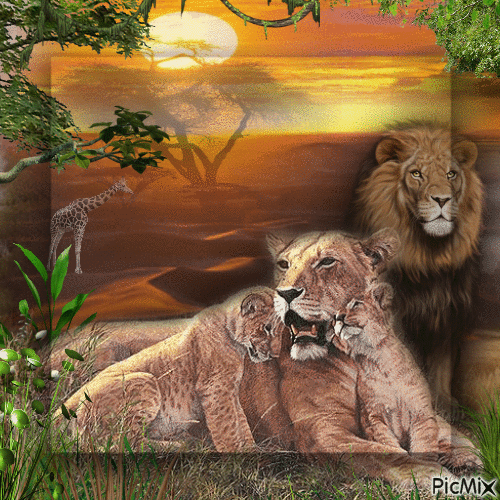 Lion Family - GIF animado grátis