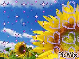 slnecnica - Ingyenes animált GIF