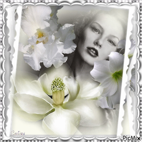 White Orchid - Free animated GIF