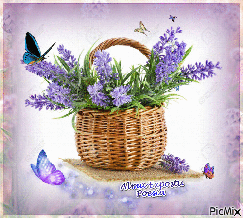 borboletas - Ingyenes animált GIF