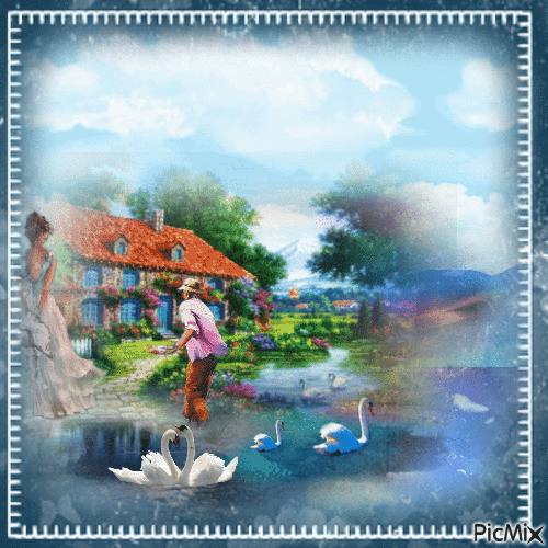 Vários cisnes no lago - Zdarma animovaný GIF