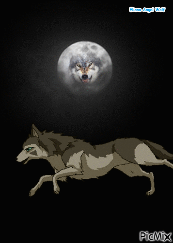 Wolf - Бесплатный анимированный гифка