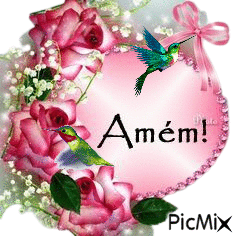 Amém Beija flor - Free animated GIF