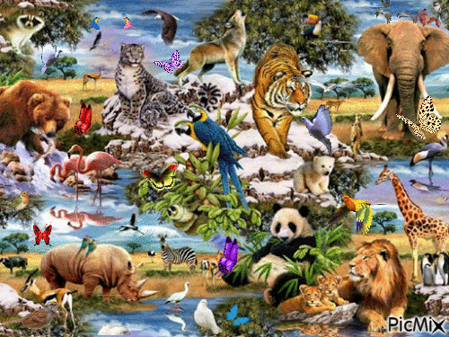 animals - Besplatni animirani GIF