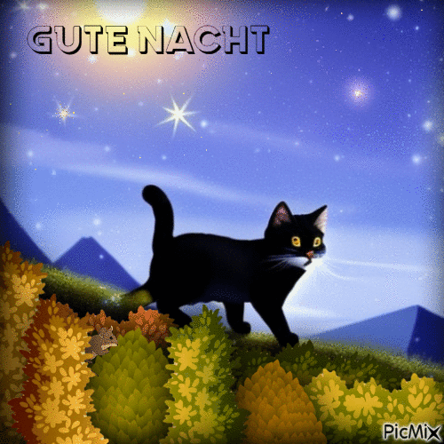 Gute Nacht - GIF เคลื่อนไหวฟรี