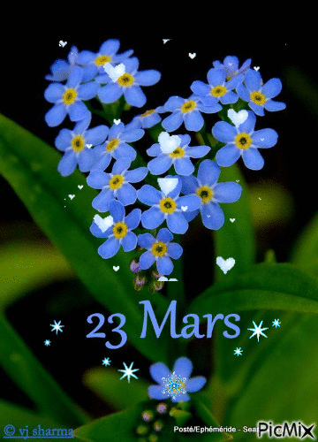 23 Mars March - GIF animé gratuit - PicMix
